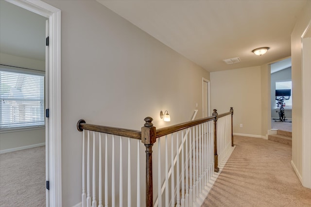 336 Shell Brooke Way, Lexington, SC 29073 - hall featuring light carpet, healthy amount of natural light, and baseboards