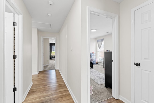 3235 Warwick Pl, Hephzibah, GA 30815 - hallway featuring healthy amount of natural light, light wood finished floors, and attic access