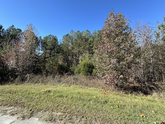 1217 Edge Ln, Tignall GA, 30668 land for sale