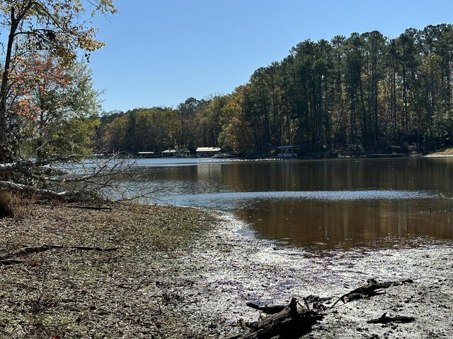 1217 Edge Ln, Tignall, GA 30668