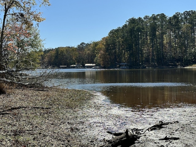 1217 Edge Ln, Tignall, GA 30668 - photo 6