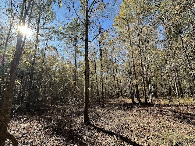 1217 Edge Ln, Tignall, GA 30668