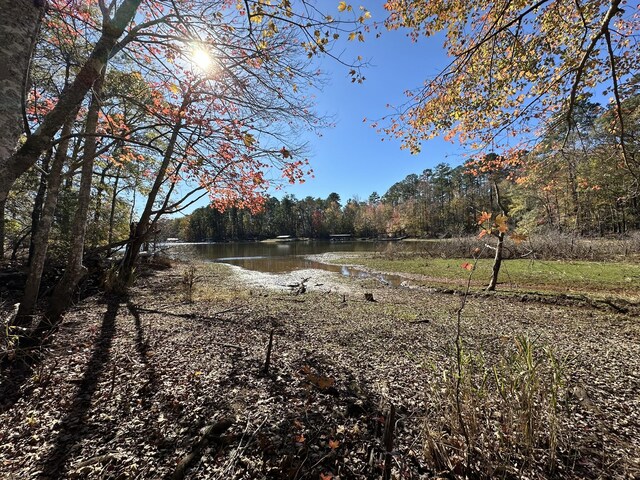 1217 Edge Ln, Tignall, GA 30668