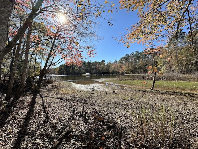 1217 Edge Ln, Tignall, GA 30668 - photo 5
