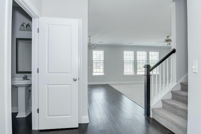 interior space featuring baseboards, stairs, and dark wood-type flooring