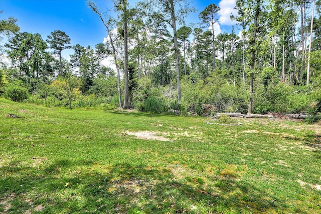 4709 Walnut Hill Dr, Evans, GA 30809 - photo 40