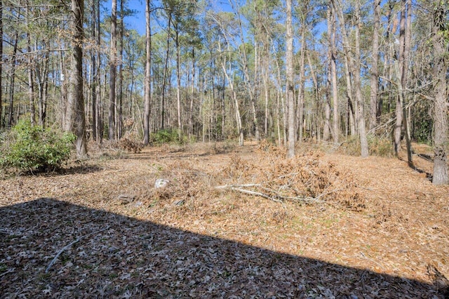 view of local wilderness