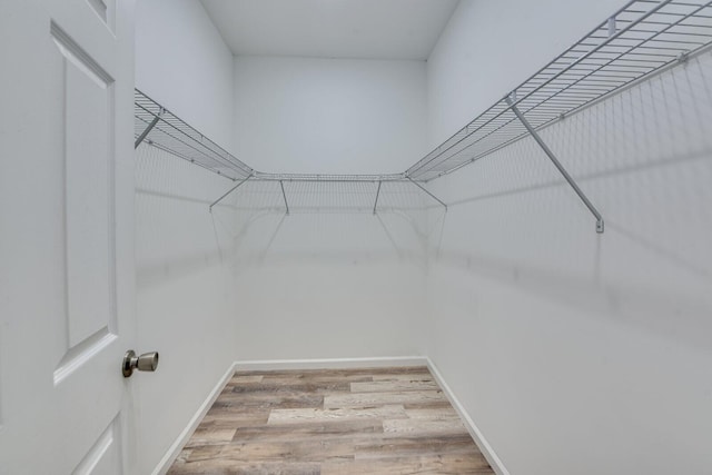 walk in closet with wood finished floors