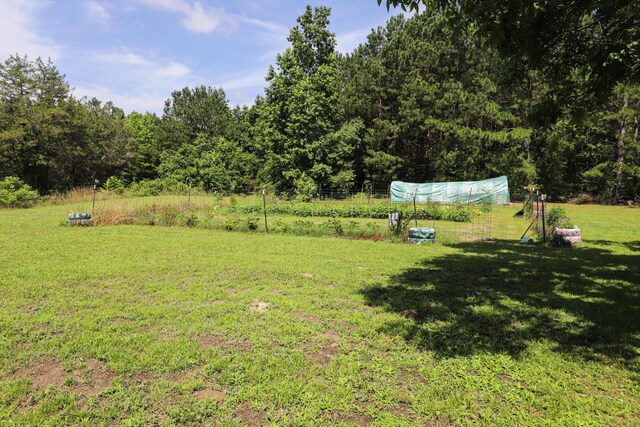 3551 Mccorkle Dr, Dearing, GA 30808 - photo 25