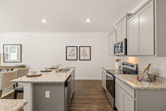 kitchen with appliances with stainless steel finishes, an island with sink, gray cabinets, and sink