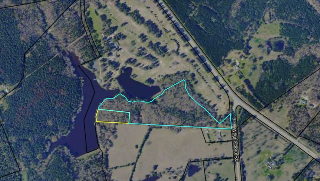 157 Wrightsboro Rd, Washington, GA 30673