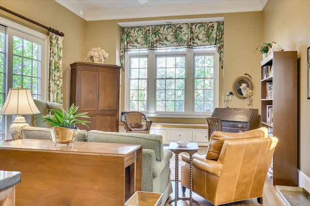 living area featuring crown molding