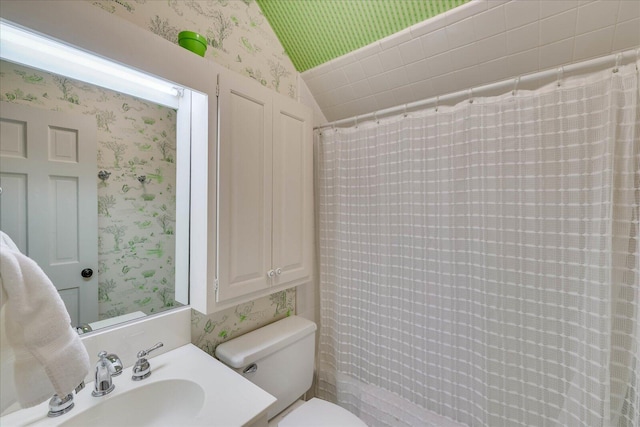 bathroom with sink, vaulted ceiling, and toilet