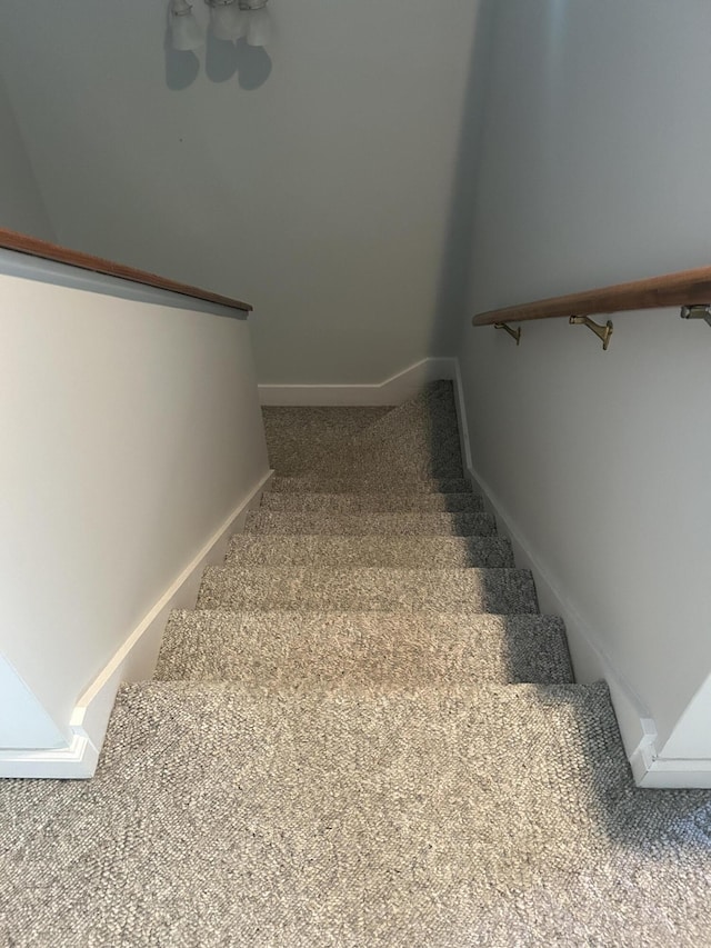 902 Patriots Pt, Mccormick, SC 29835 - staircase featuring carpet floors and baseboards