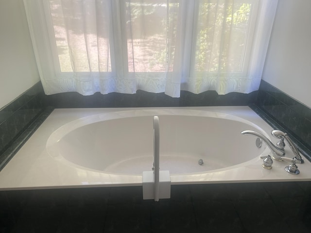 902 Patriots Pt, Mccormick, SC 29835 - bathroom featuring plenty of natural light and a bath