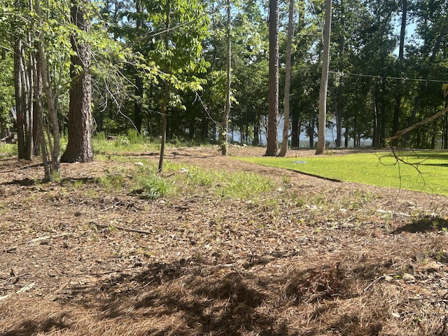 902 Patriots Pt, Mccormick, SC 29835 - view of yard