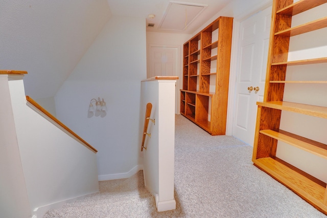 902 Patriots Pt, Mccormick, SC 29835 - stairway featuring carpet floors