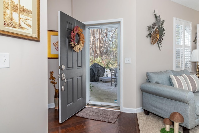 foyer entrance featuring dark wood-type flooring