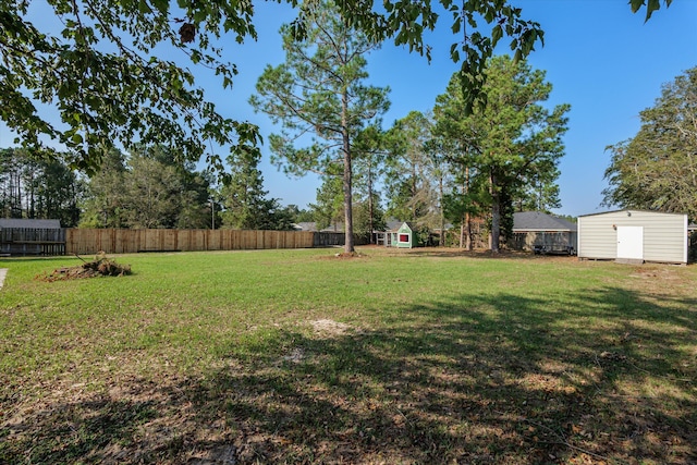 view of yard featuring a shed