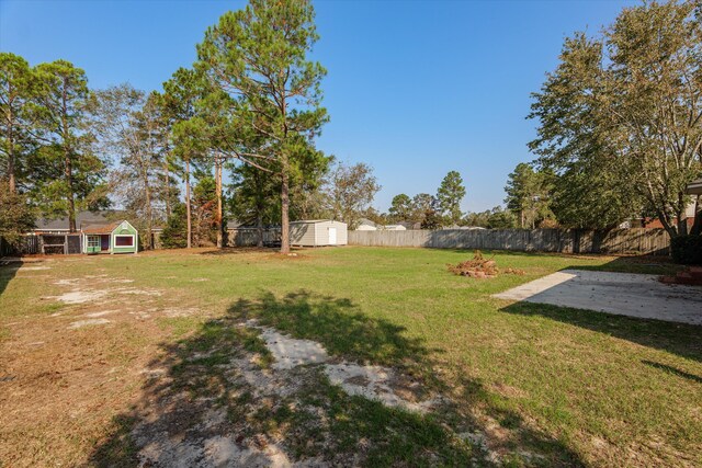 view of yard with a storage unit and a patio area