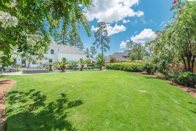 506 Creek Blf, Martinez, GA 30907 - view of green lawn