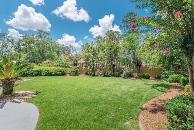 506 Creek Blf, Martinez, GA 30907 - view of yard