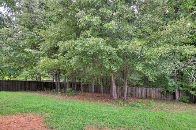 1123 Blackfoot Dr, Evans, GA 30809 - view of fenced backyard