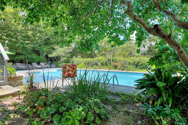 3725 Wexford Dr, Martinez, GA 30907 - outdoor pool featuring a patio area