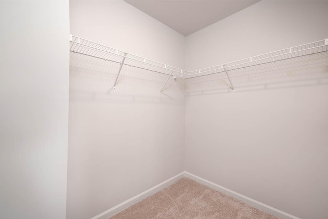 walk in closet with carpet