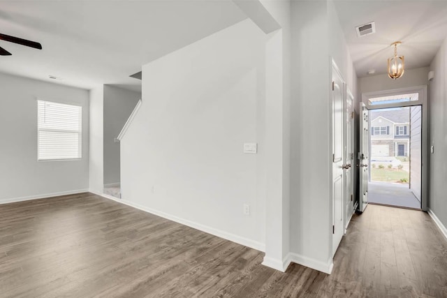 entrance foyer featuring a wealth of natural light, wood-type flooring, and ceiling fan with notable chandelier