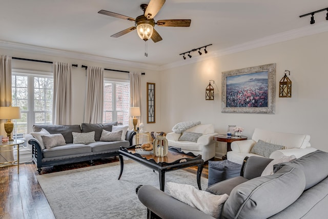 living room featuring wood-type flooring, rail lighting, and ornamental molding