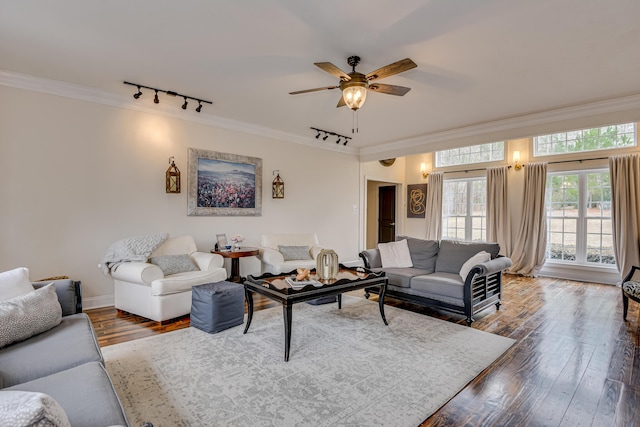 living room with ceiling fan, crown molding, rail lighting, and dark wood-type flooring