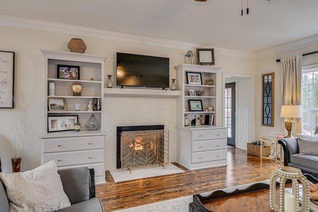 living room featuring crown molding, wood-type flooring, and a fireplace