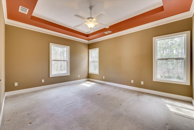 113 Rutledge Ln, Mccormick, SC 29835 - spare room with a wealth of natural light, visible vents, and a raised ceiling