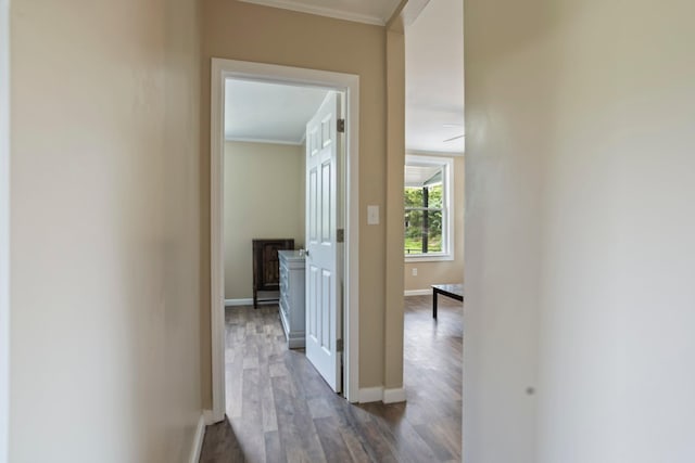 corridor featuring ornamental molding and dark hardwood / wood-style flooring