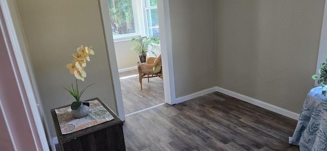 doorway to outside with dark hardwood / wood-style flooring