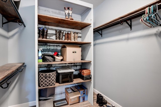 305 Kingfisher Pt, Mccormick, SC 29835 - view of spacious closet