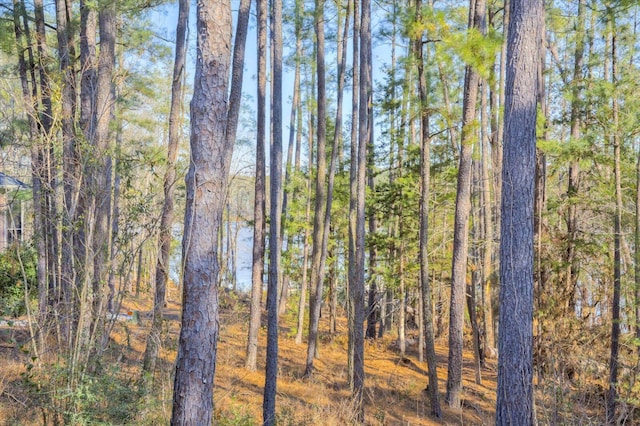 305 Kingfisher Pt, Mccormick, SC 29835 - view of landscape