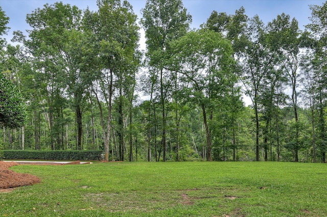 1 Bohler Ave, Evans, GA 30809 - view of green lawn with a view of trees