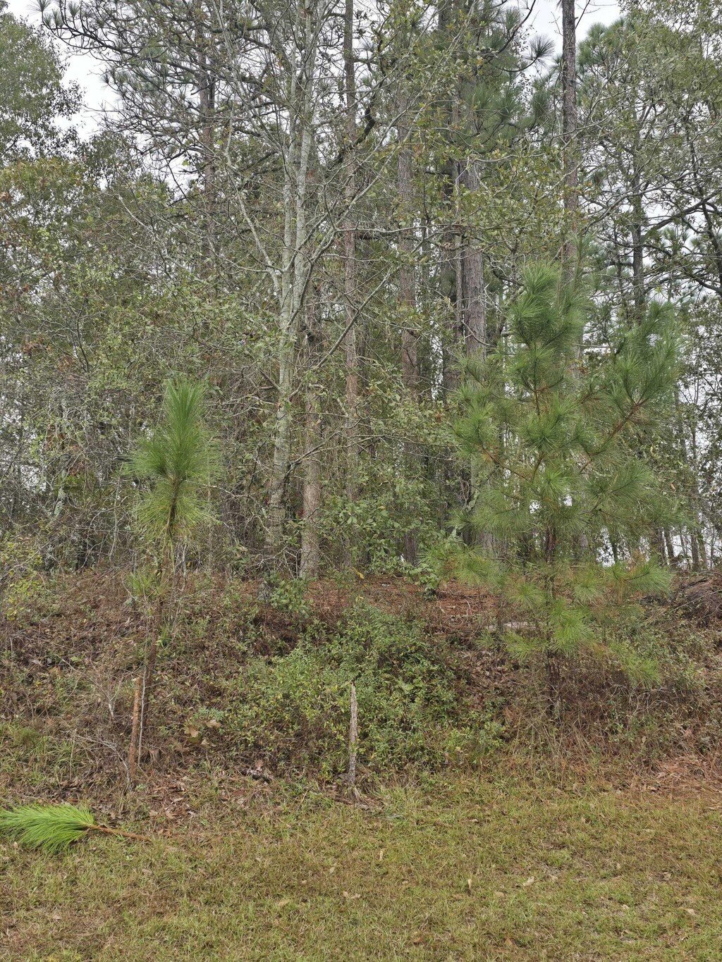 533 Lake Crystal Dr, Waynesboro, GA 30830 - photo 2