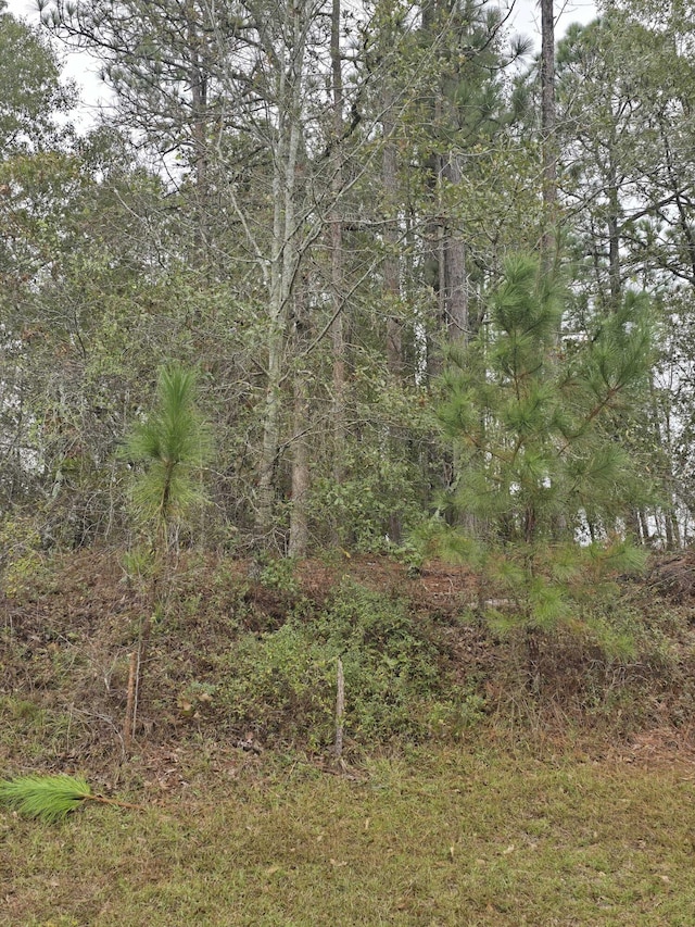 533 Lake Crystal Dr, Waynesboro, GA 30830 - photo 2