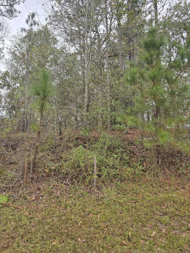 533 Lake Crystal Dr, Waynesboro, GA 30830 - photo 1