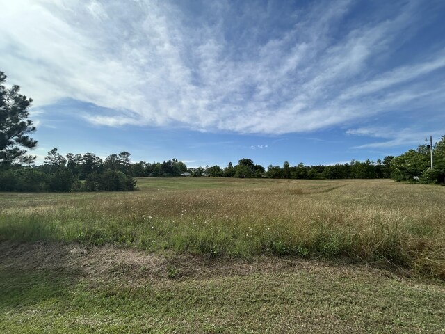 view of local wilderness with rural landscape