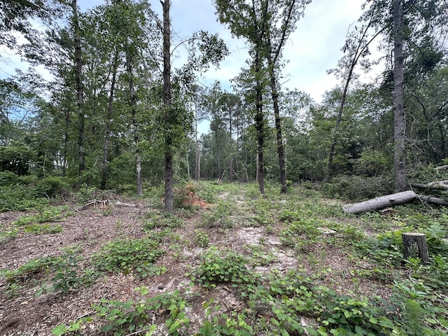 0 W Quaker Rd, Keysville, GA 30816