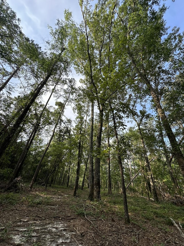 0 W Quaker Rd, Keysville, GA 30816