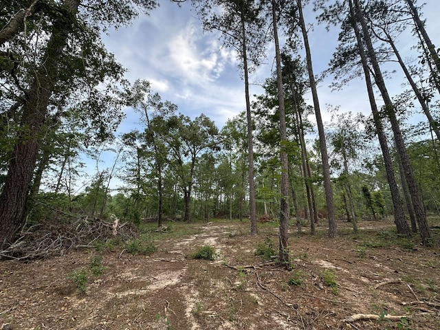 0 W Quaker Rd, Keysville, GA 30816