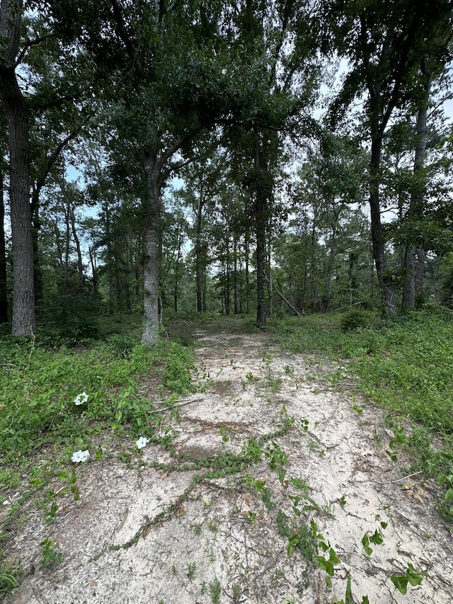 0 W Quaker Rd, Keysville, GA 30816