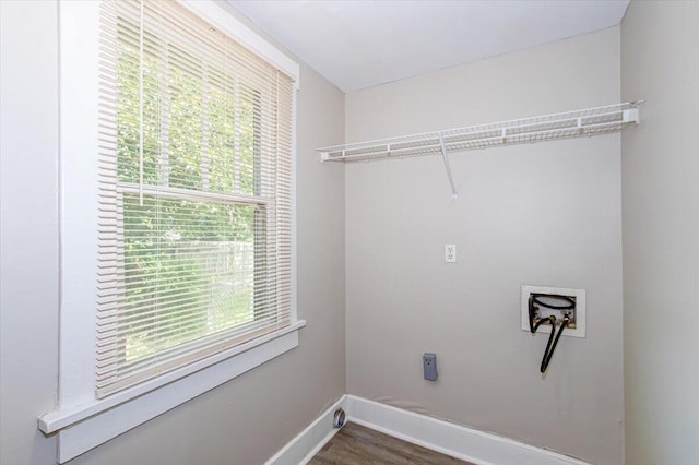 clothes washing area featuring washer hookup, plenty of natural light, and dark wood-type flooring