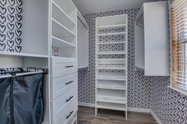 spacious closet with dark wood-style flooring