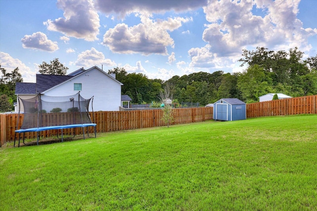 view of yard featuring a shed and a trampoline